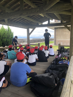 140136531b5a4fdc8a48d0849e7f5335