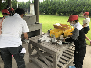 52bc3250b3bd44688ca43fad87541937