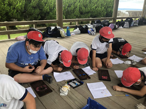 85d160f2d56441b3ad3267128dfe8a71