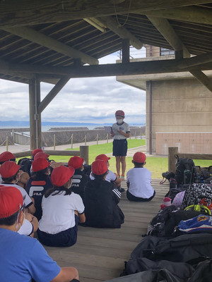 A1ec111c1d244726ae1630f1954d4db5