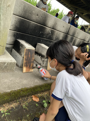 Be387de4578c4303bd6f511019da9df3