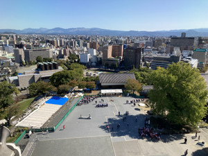 D826c186ae07471780b3192ae6d1b2ac