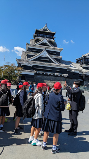 Pxl_20231025_022834852mp