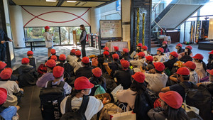 Pxl_20231025_232349004mp