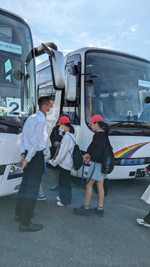 Pxl_20231026_041722826mp