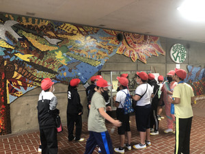 650477008fb54ca38f58ce7946588eb9