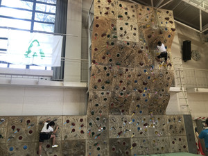 E52d4b5d120d43e4bff2a520d353814f