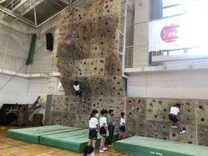 E76984f771c84535bb187d6562dfc67e