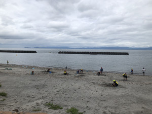 8936fc1a729642adb37ca38419ee75c5