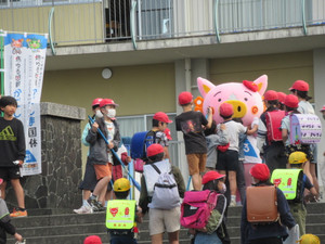 Img_2816 Img_2816