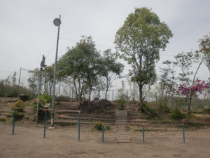 Cimg8842