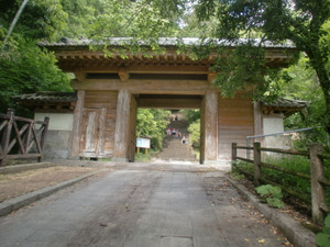 Cimg9226