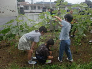 Cimg0129
