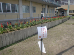Cimg0248
