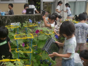 Cimg0291