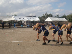 Cimg2482