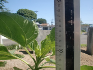 Cimg7925