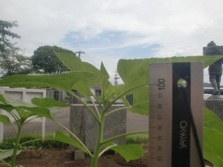Cimg8162_3