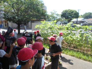 Dscn8635