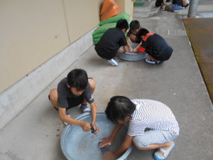 Dscn8985