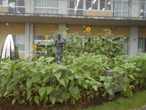 Dscn9077