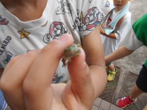 Dscn9243