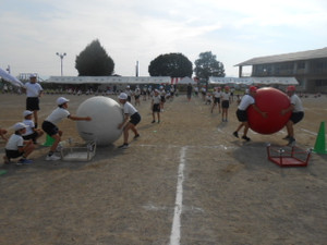 Dscn9874