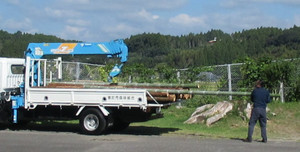 Photo_3