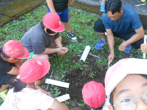 Dscn0203