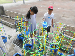 Dscn4893