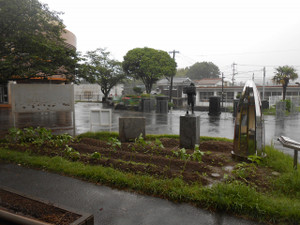 Dscn4909