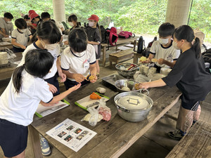 Img_4256 Img_4256