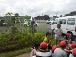 Dscn5436