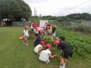 Dscn5570