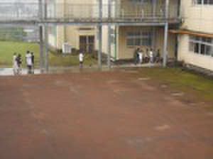 Dscn6481